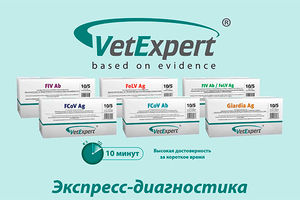 Экспресс-Диагностика VetExpert: Выиграй время – спаси жизнь